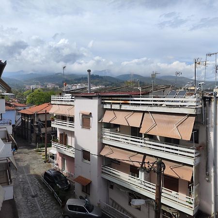 Blue Dreams Veria (Imathia) Exterior foto